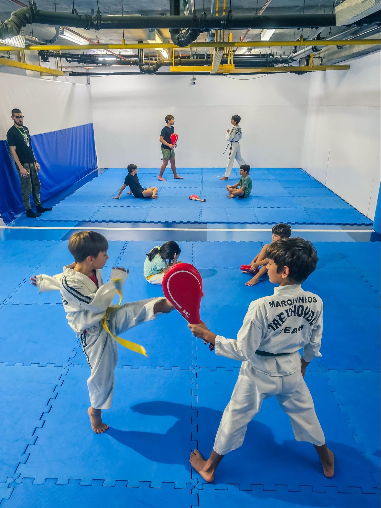 <i>Tae Kwon Do</i>